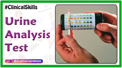 drug test hard to pee|urine analysis drug testing.